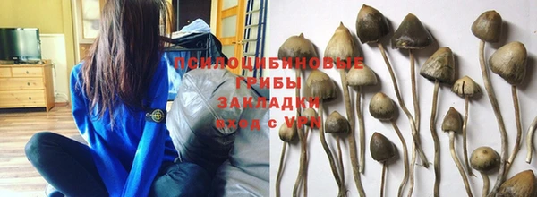 эйфоретик Надым